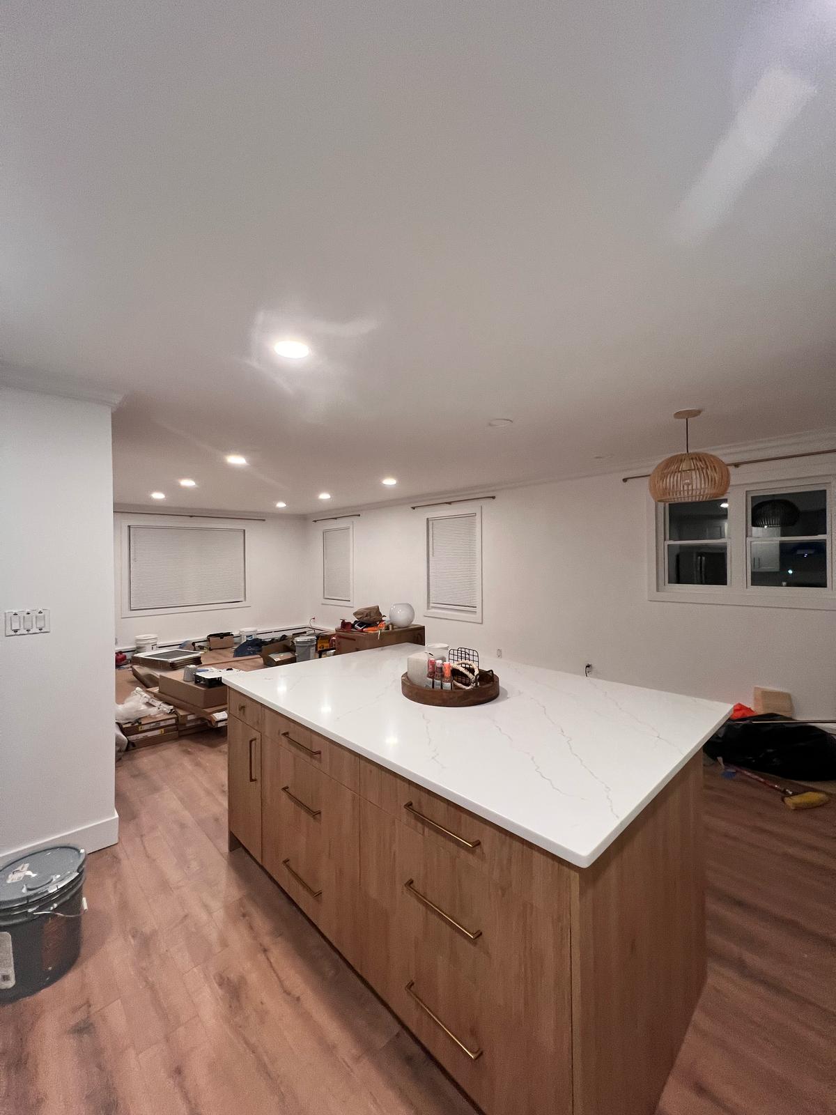 Modern Transitional Kitchen - Image 6